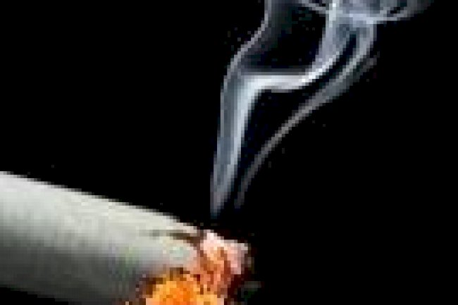 Sigara, Belçika'da her saat bir can alıyor