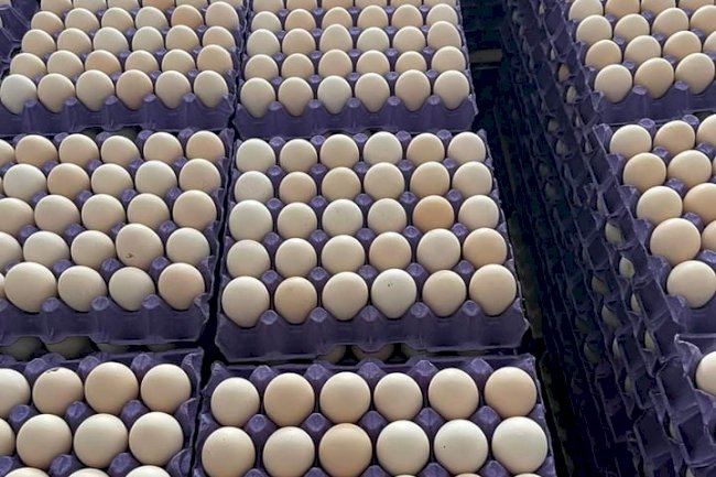 Yumurta fiyatlarındaki yükseliş sürüyor: Uzmanlar uyarıyor!