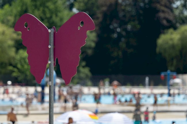 Flaman İnsan Hakları Enstitüsü: Burkini yasağı ayrımcılık, yönetmelik değiştirilmeli