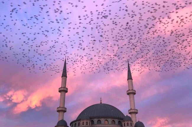 2025’in En iyi şehirleri açıklandı: Bir Türk şehri de listede