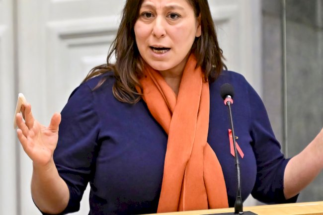 Meyrem Almaci'den Arizona hükümetine sert eleştiriler: "Kadınlar için çorak bir çöl"