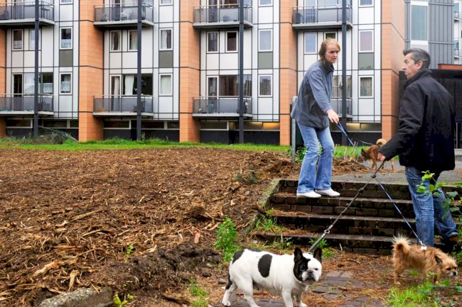 Flaman konut politikasına sert eleştiri: Sosyal konut eksikliği krizi derinleştiriyor