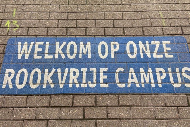 Anvers Üniversitesi'nden radikal karar: Kampüsler tamamen sigarasız ve elektronik sigarasız alan ilan edildi