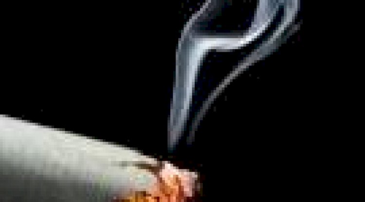 Sigara, Belçika'da her saat bir can alıyor