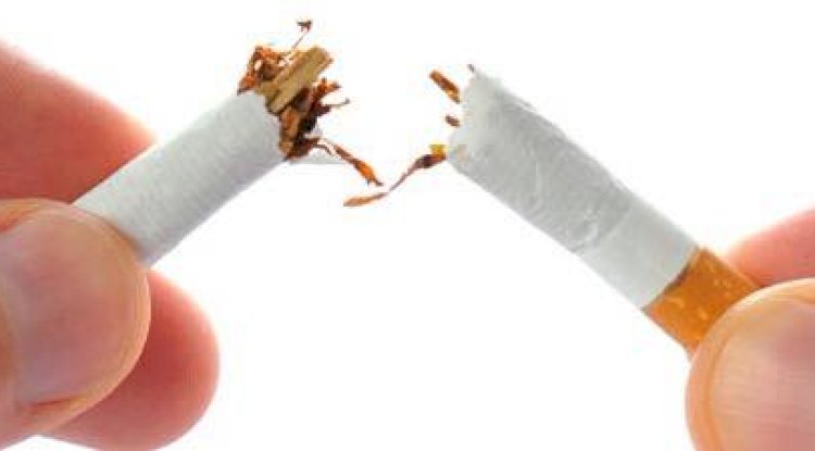 Avrupa Birliği'nde dumansız alanlar artıyor: Belçika sigara yasaklarının genişletilmesini destekledi