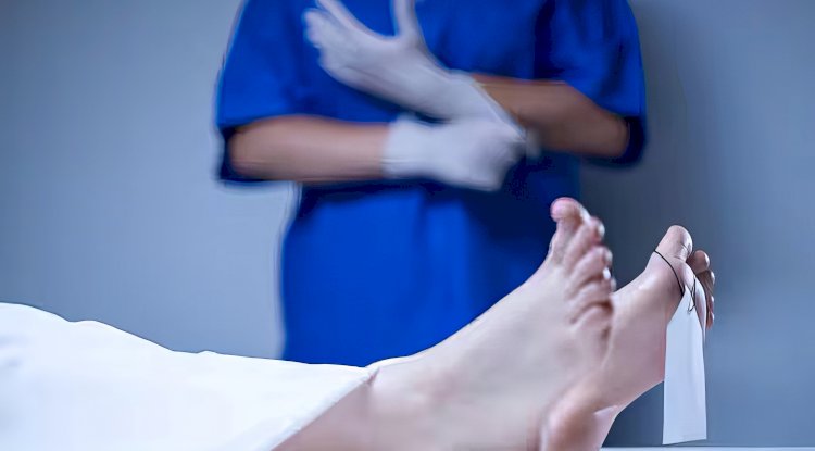 Flaman Üniversitelerine 2024’te 500’e yakın beden bağışı: “Kayıtlarda artış sürüyor”