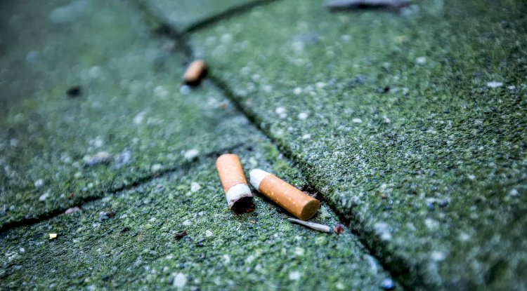 Hangi AB ülkelerinde sigara içme oranı en yüksek?