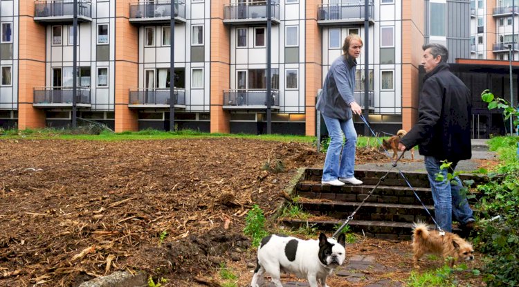 Flaman konut politikasına sert eleştiri: Sosyal konut eksikliği krizi derinleştiriyor