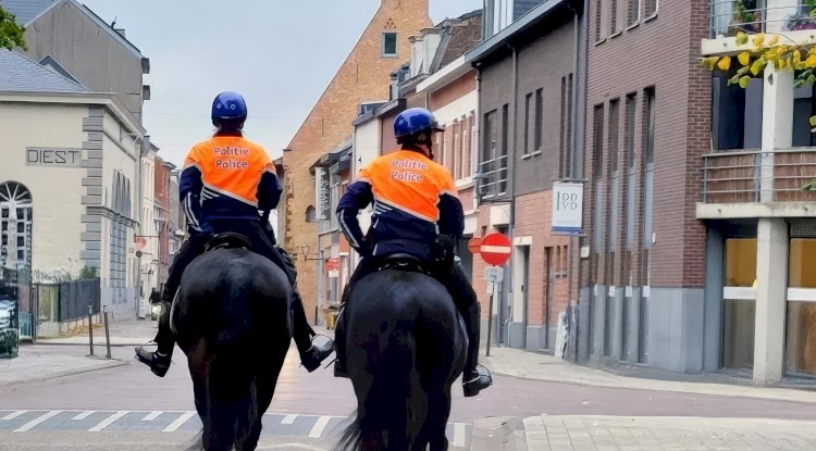 Belçika’da hırsızlıkla mücadelede yeni dönem: Diest ve Scherpenheuvel-Zichem’de atlı polis devriyeleri başlıyor