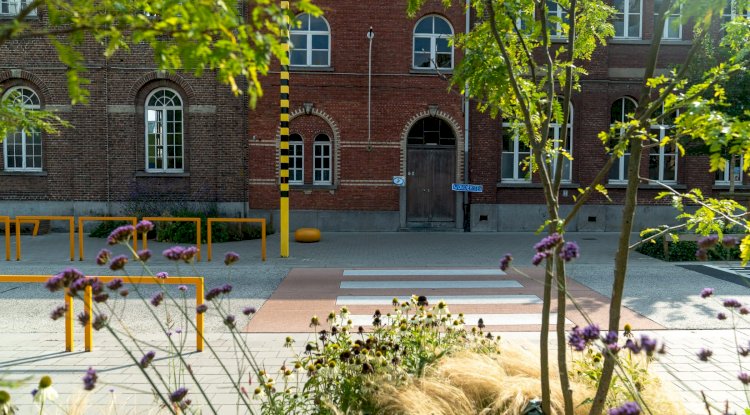 1 Ocak 2026’dan itibaren eğitimde yeni kurallar: Okullarda pestisit yasağı, psikoloji stajı kalkıyor, IBO reformu geliyor