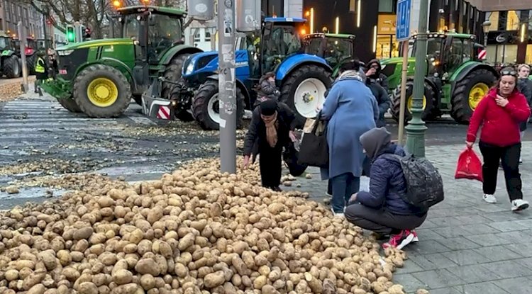Çiftçilerden sert protesto: Brüksel’in Tarihi Meydanı tonlarca patatesle doldu