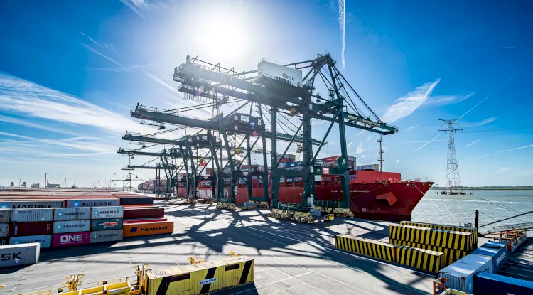 Antwerpen Limanı’nda uyuşturucu alarmı: 300’ü aşkın alışan görevden uzaklaştırıldı