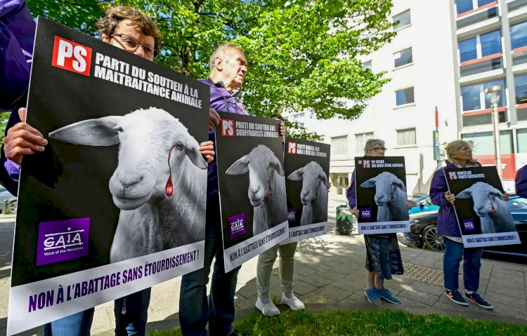 Yeşiller Partisi, anestesisiz kesim yasağını yeniden gündeme taşıdı