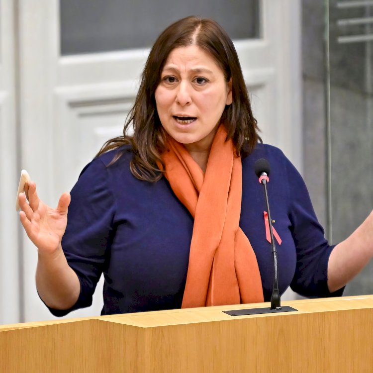 Milletvekili Meyrem Almacı: “Erkekler için, erkeklerden oluşan bir hükümet”