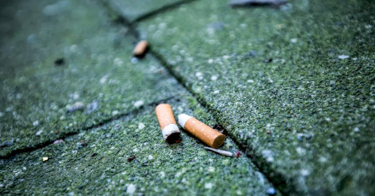 Hangi AB ülkelerinde sigara içme oranı en yüksek?