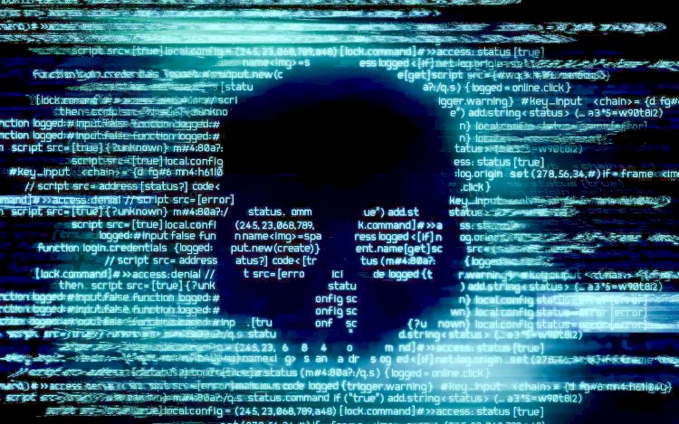 Hollanda'da veri sızıntısı beklenenden büyük: 850.000 kadının medikal verisi hacklendi