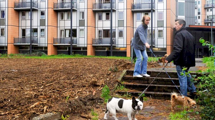 Flaman konut politikasına sert eleştiri: Sosyal konut eksikliği krizi derinleştiriyor