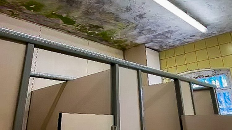 Gent cezaevinde kriz: Aşırı kalabalık, insanlık dışı koşullar ve artan şikayetler