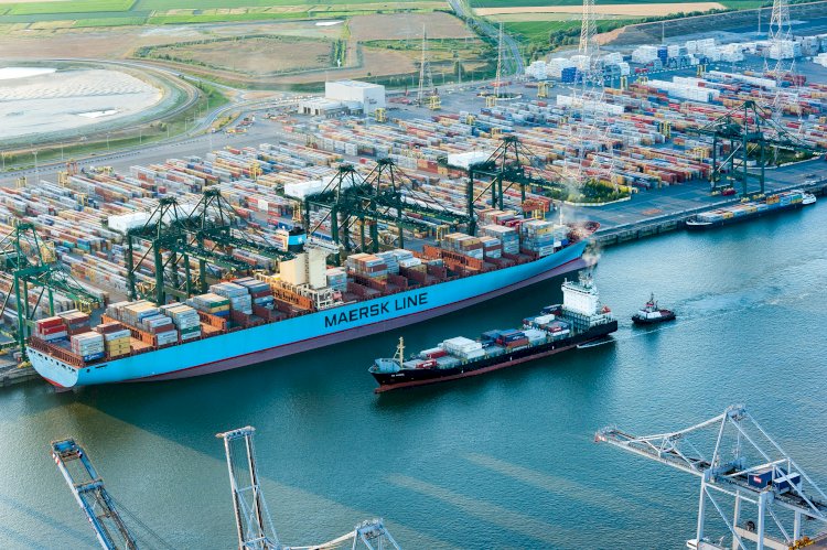 Anvers limanında 1,2 ton kokain ele geçirildi: 14 yaşında çocuk çete içinde yakalandı