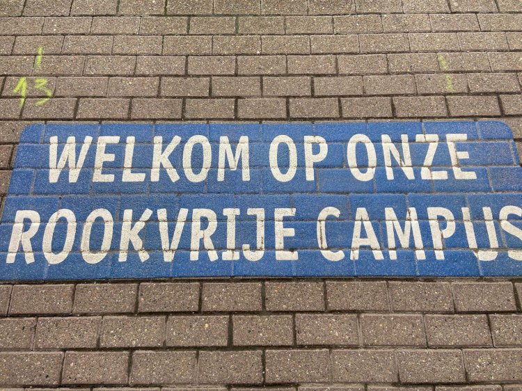 Anvers Üniversitesi'nden radikal karar: Kampüsler tamamen sigarasız ve elektronik sigarasız alan ilan edildi