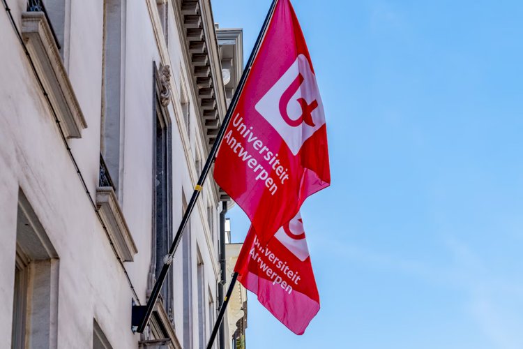 Antwerp Üniversitesi’nden cinsiyet ayrımı yasağı: Müslüman öğrenci derneğine “Karma Oturum” uyarısı