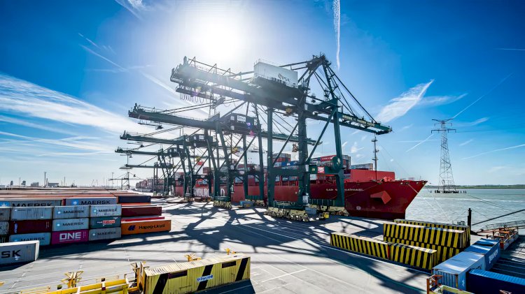 Antwerpen Limanı’nda uyuşturucu alarmı: 300’ü aşkın alışan görevden uzaklaştırıldı