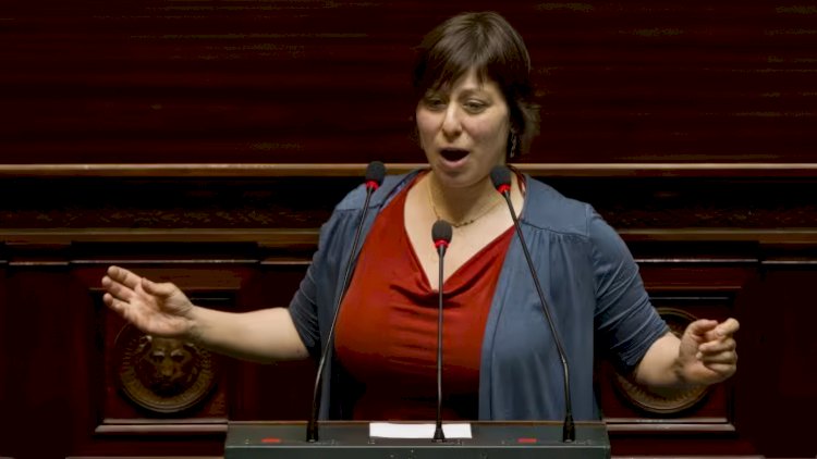 Belçika’da deepnude uygulamalarına yasak teklifi